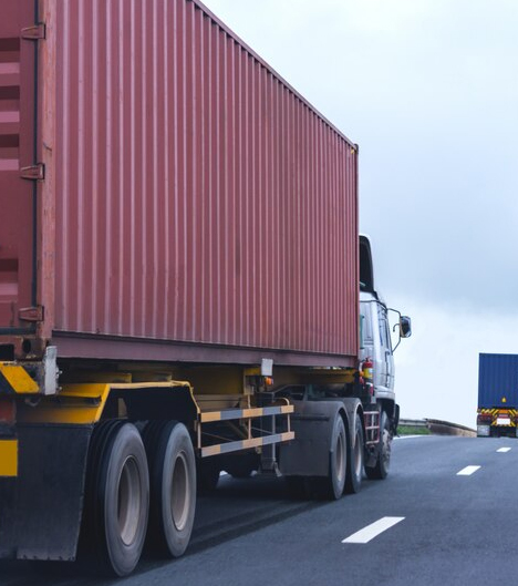 Anita Group Montenegro Tippers